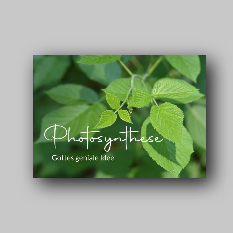 Traktat über Schöpfung und Photosynthese